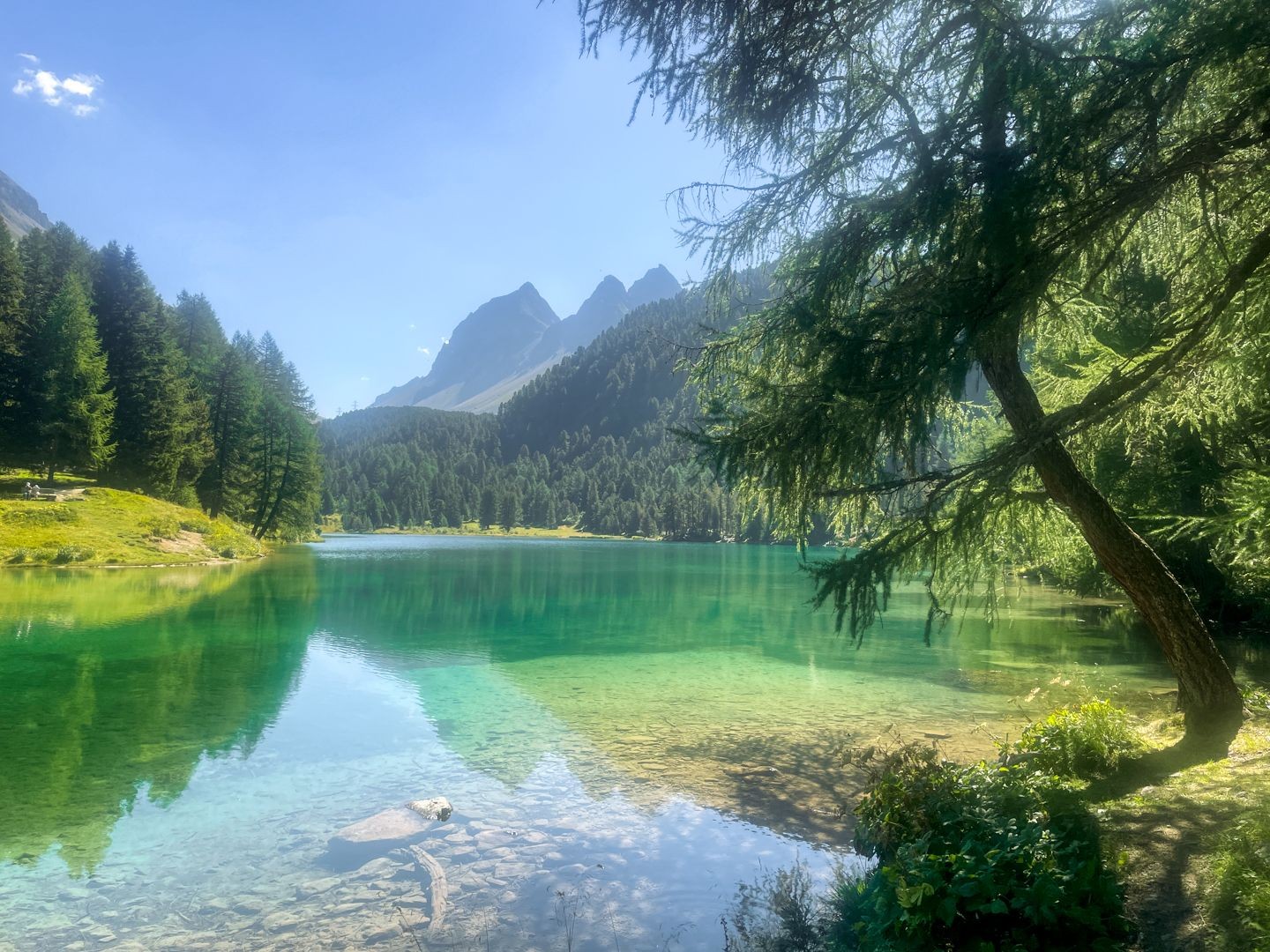 Im Schatten steigt man auf in Richtung Albulapass, vorbei am lieblichen Palpuognasee.