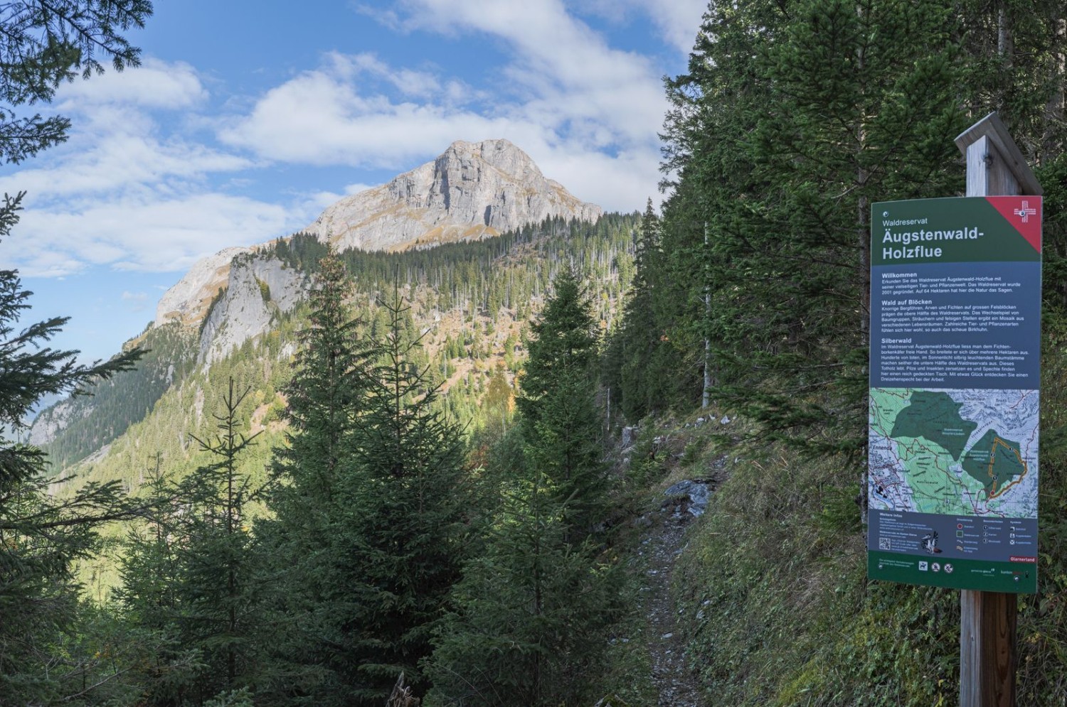 Der Äugstenwald – ein spannendes Waldreservat. Dahinter der Schilt.