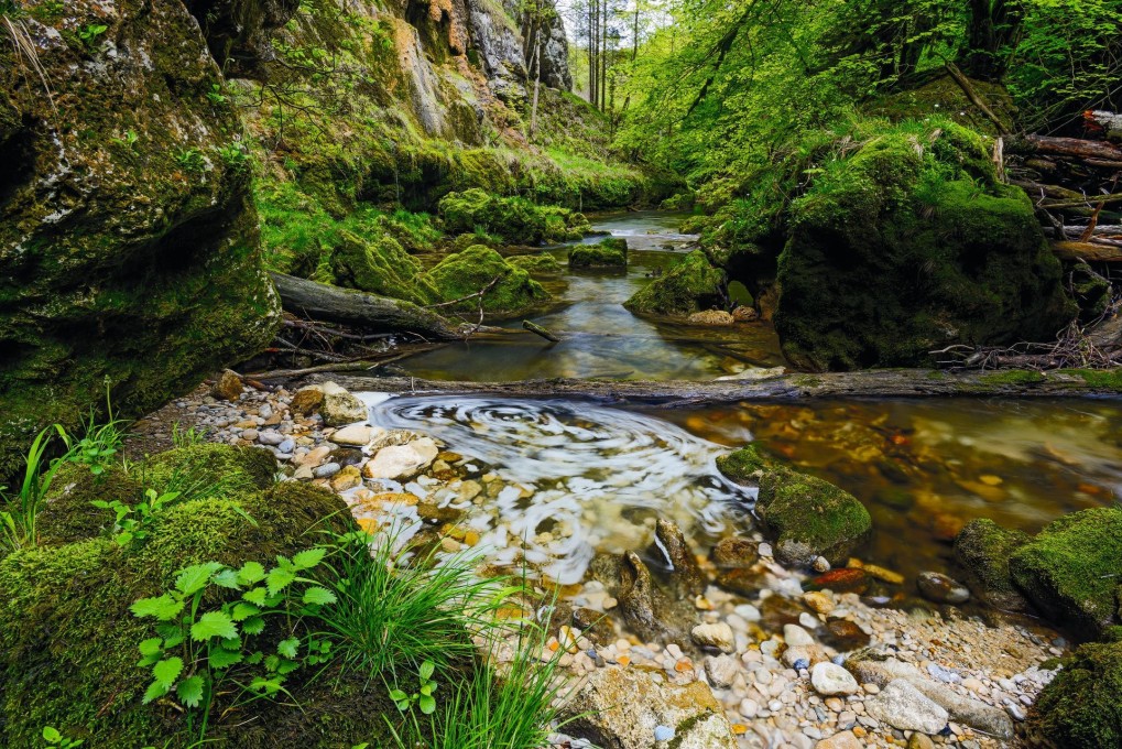 Gorge de l' orbe 1 VD