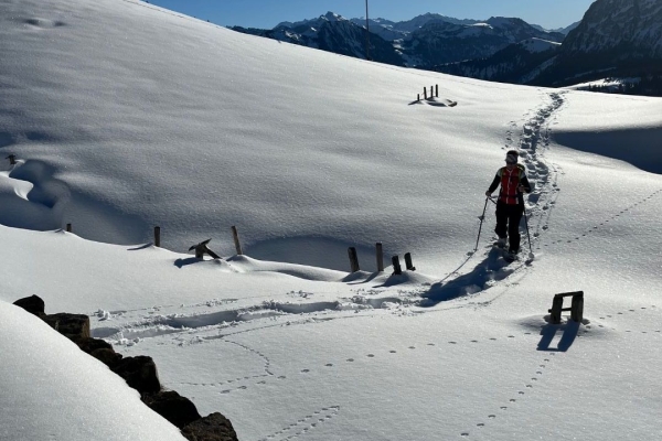 Schneeschuhwanderung Schwarzwaldalp - Grosse Scheidegg