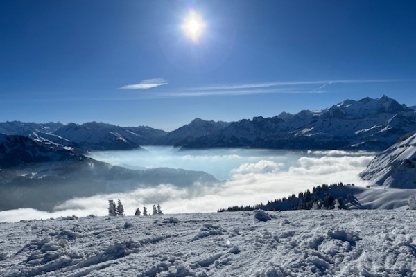 3. Schönbühl mit Seeblick