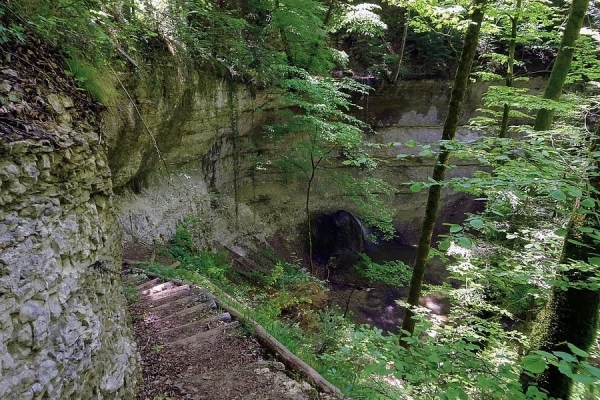 Von Sommerau über den Wiseberg nach Läufelfingen