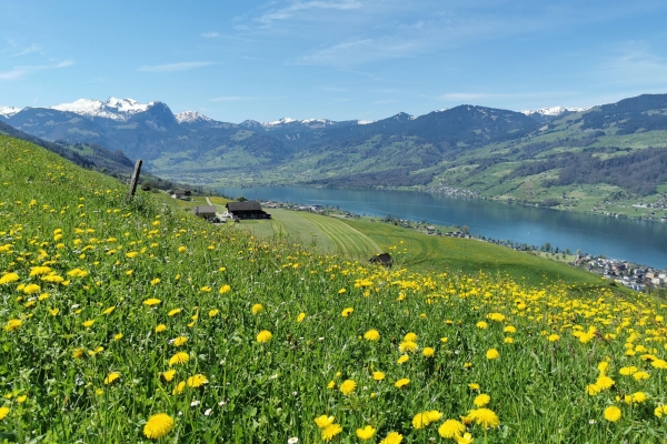 Frühlingswanderung auf dem Bruderklausenweg