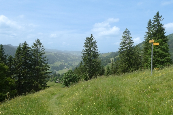 Entre l’Emmental et l’Oberland bernois