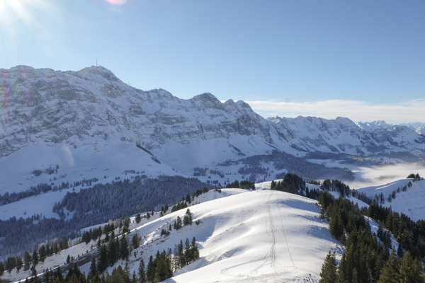 Appenzeller Panorama vom Kronberg