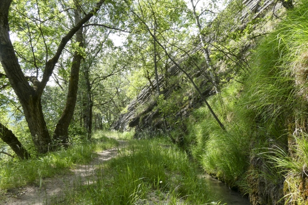 Allerlei Geschichten an der Südrampe