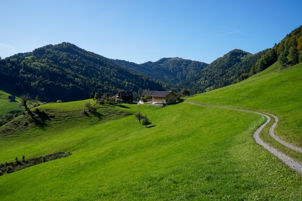 In den St. Galler Ausläufern des Tössberglandes