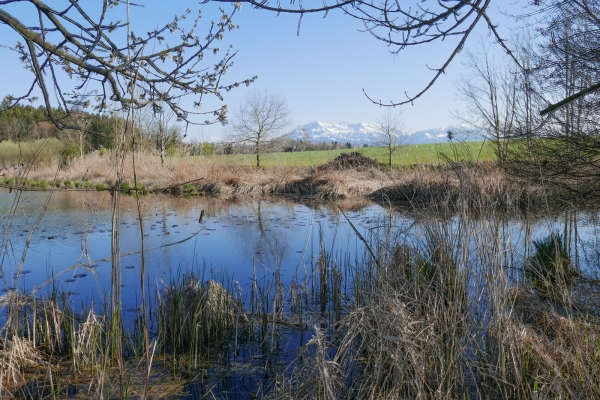 Vom Wynental zum Sempachersee