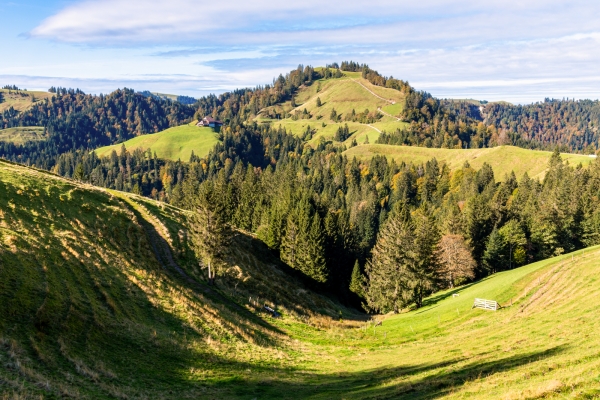 Abwechslungsreiche Herbstwanderung