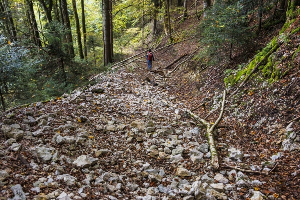 Impressionen in den Freibergen