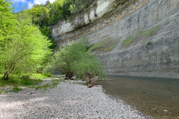 Des méandres de la Sarine à la sauvage Gérine