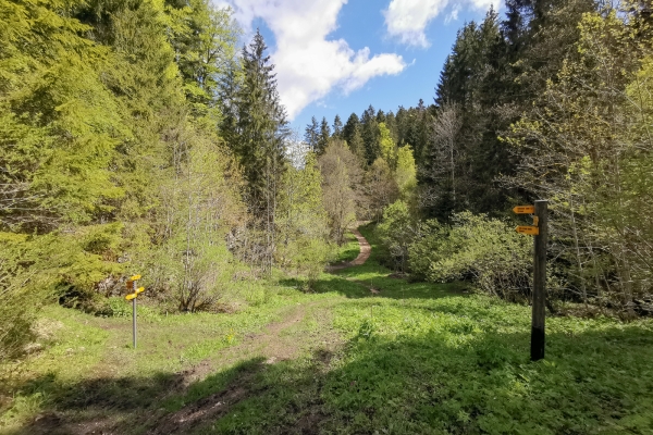 Wilde Schlucht in den Freibergen