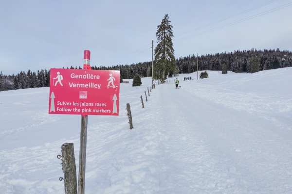 Weisse Weiden im Waadtländer Jura