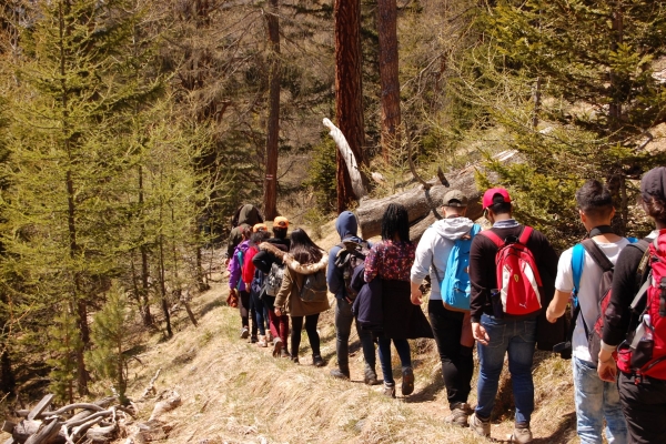 Rückkehr der Grossraubtiere