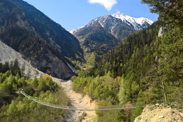 Frühlingstour durch den Pfynwald