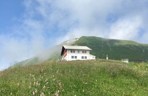 Aussichtsreiche Rundwanderung im Gebiet Schönbüel