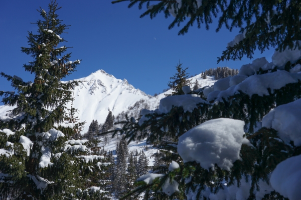 Sonniger Col des Mosses