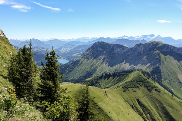 Panoramawanderung zwischen Freiburg und Waadt