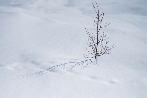 Einzigartiger Morteratschgletscher