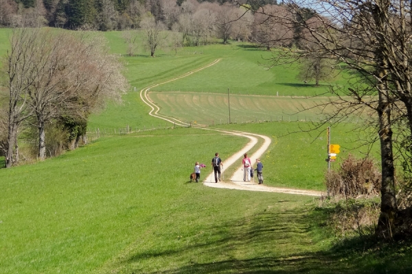 Von Courgenay nach St-Ursanne