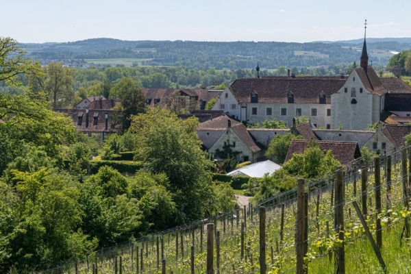 Von der Kantonshauptstadt ins Züribiet