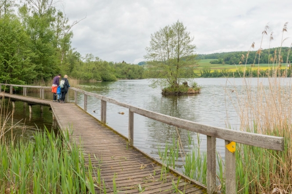 Neue Natur im Seebachtal