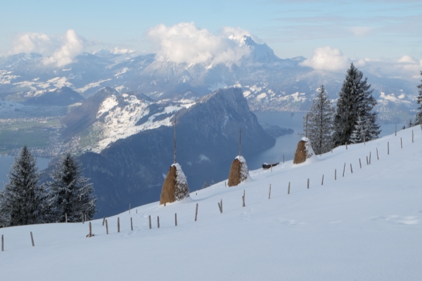 Randonnée en raquettes au Rigi Scheidegg