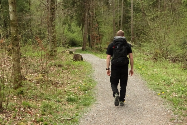 Wilde Auenlandschaft im Entschligetal