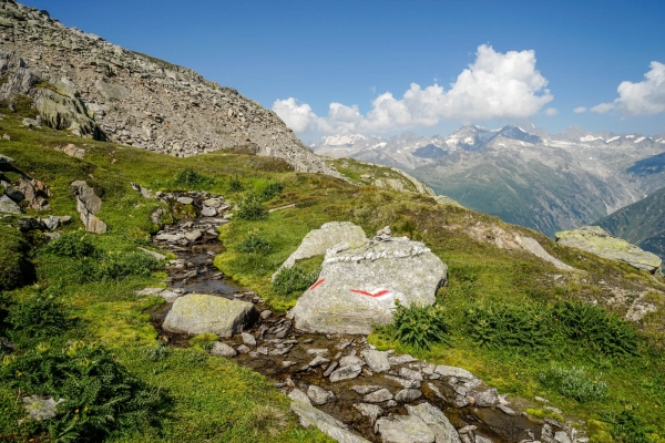 Aussichtsgipfel über dem Goms