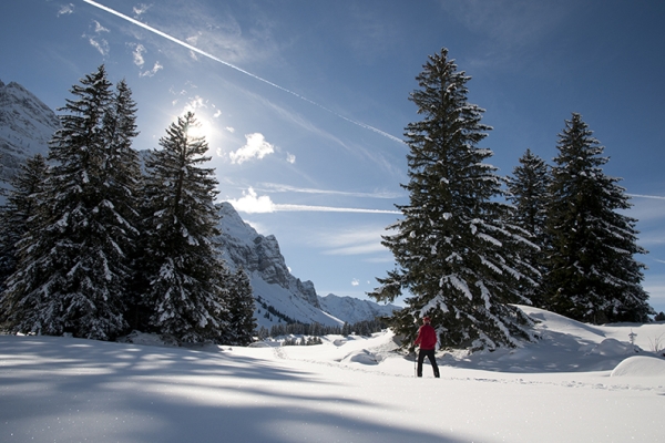 Verschneites Appenzell