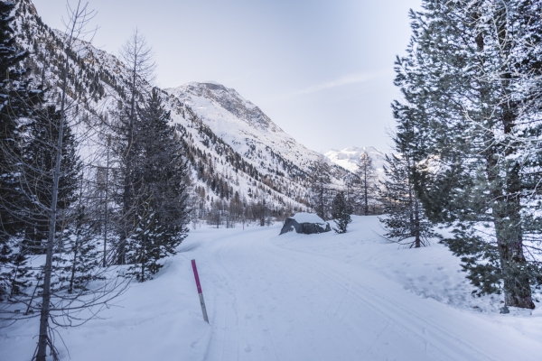 Einzigartiger Morteratschgletscher