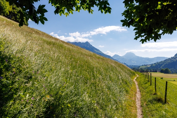 In typischer Greyerzer Landschaft