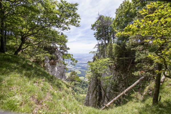 Auf einsamen Jurapfaden zur Bättlerchuchi