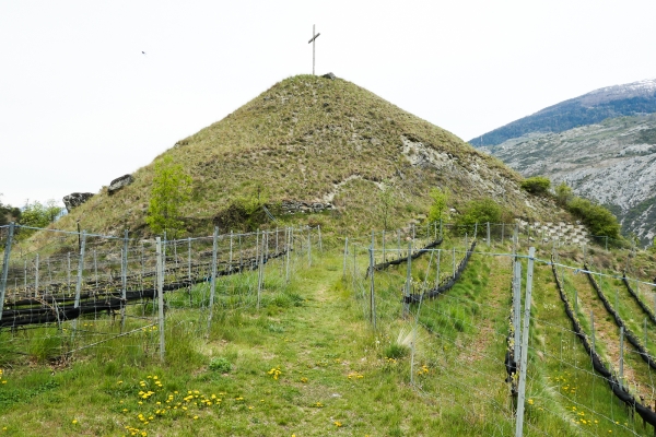 Trionfo di fiori nella valle di Turtmann