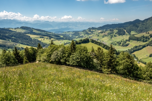 Auf und ab im Tössbergland