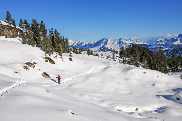 Parcours de raquettes au Niederhorn