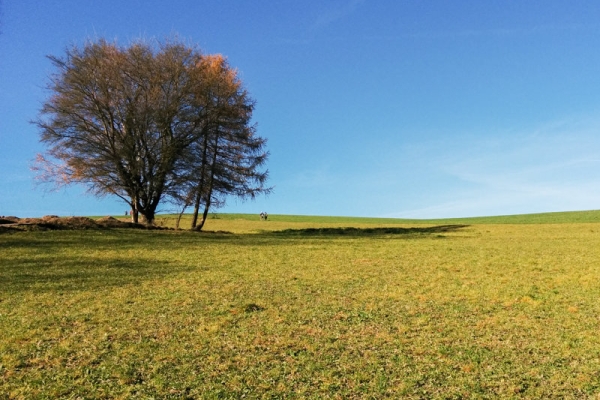 Spiel und Erdgeschichte