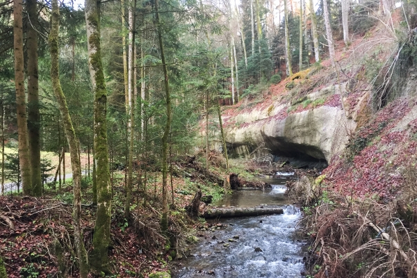 Tunnelgang im Scherligrabe