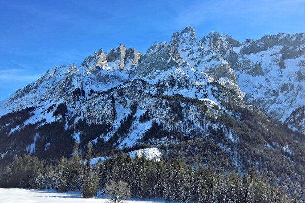 Auf weissen Wegen zur Schwarzwaldalp BE