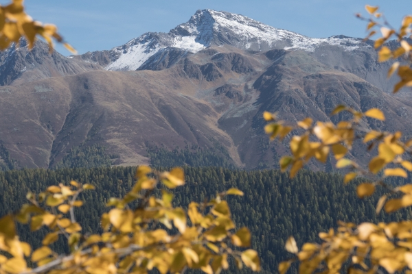 Aussichtstour auf die Wiesner Alp