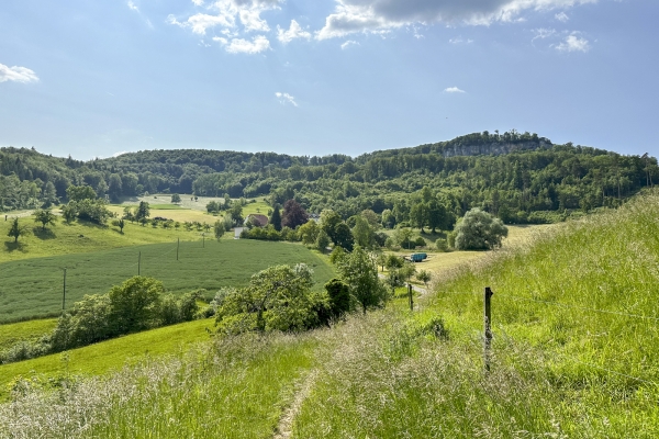 Von Burg zu Burg vor den Toren von Basel