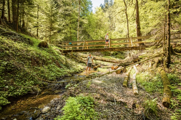 L’Entlebuch par champ, forêt et prairie