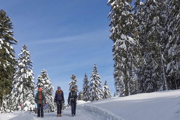 Blancs pâturages dans le Jura vaudois