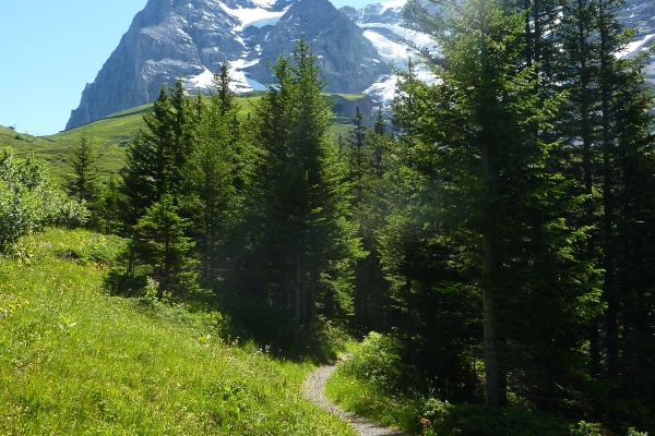 Tragödien und Triumphe am Eiger