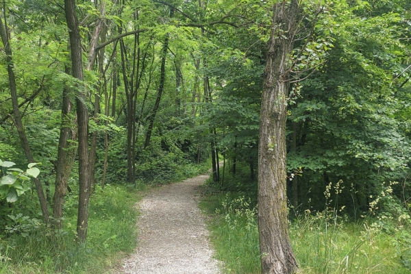 En pleine nature dans les Centovalli