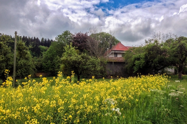 Auf dem Freiburger Voralpenweg