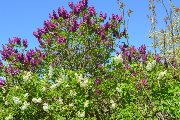 Das Fürstentum im Frühling entdecken