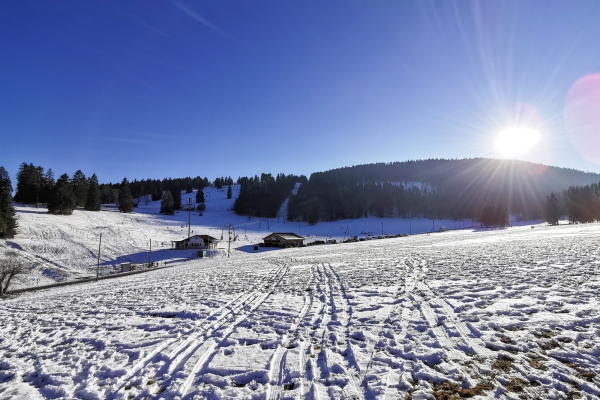 Pâturages blancs dans le Jura bernois