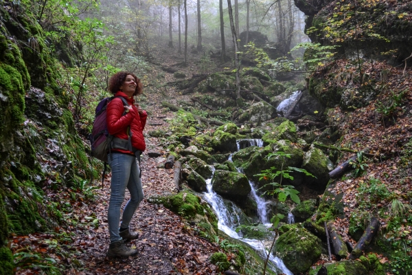 Durch die Wolfsschlucht im Naturpark Thal