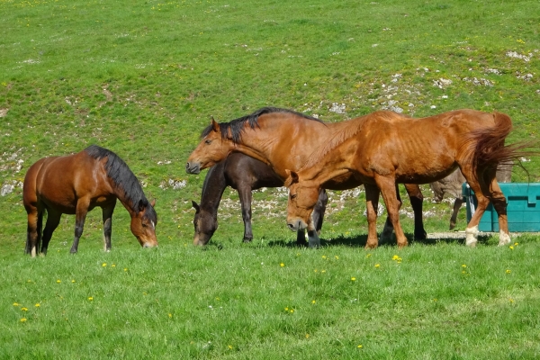 Dem Jura entlang, Teil 5